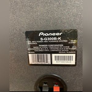 Black Pioneer Speaker